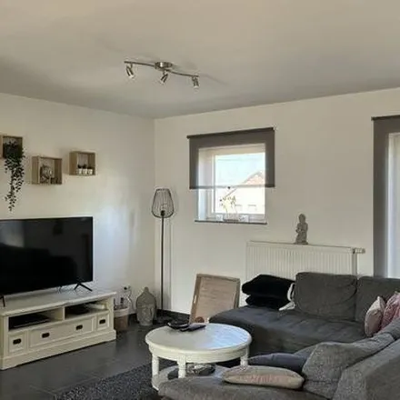 Image 3 - Hasseltweg 281, 3600 Winterslag, Belgium - Apartment for rent