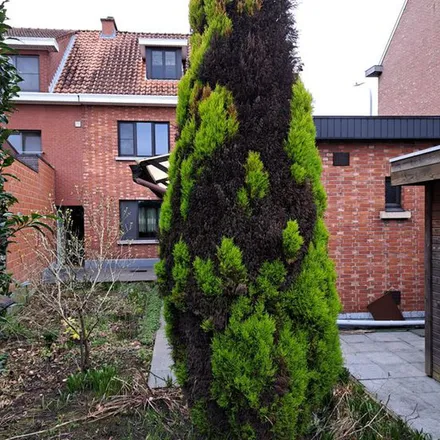 Image 1 - Hoogstraatsebaan 28, 2390 Malle, Belgium - Apartment for rent