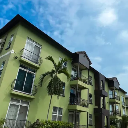 Image 4 - Mayfair Avenue, Liguanea, Kingston, Jamaica - Apartment for rent