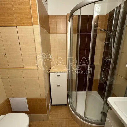 Image 6 - K. Chocholy 1260/12, 370 05 České Budějovice, Czechia - Apartment for rent