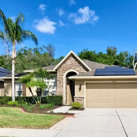 Rent this 4 bed house on 7582 Ambleside Drive in Ehren, Pasco County