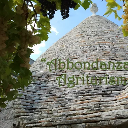 Image 1 - Abbondanza® Agriturismo, SP161, 5, 70011 Alberobello BA, Italy - Apartment for rent