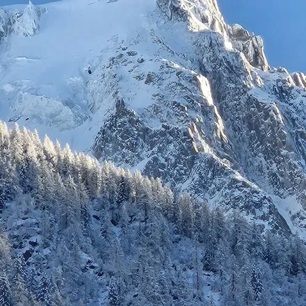 Image 7 - 74400 Chamonix-Mont-Blanc, France - Apartment for rent