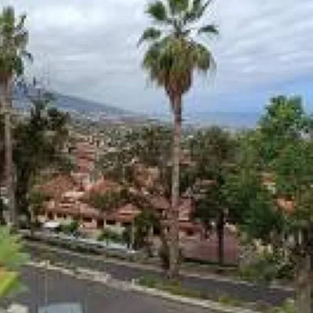 Image 9 - El Mayorazgo, La Orotava, Santa Cruz de Tenerife, Spain - Apartment for rent