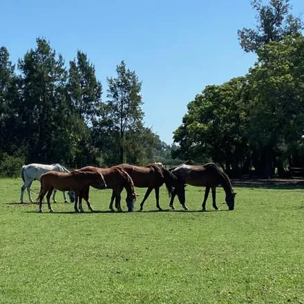 Image 2 - San Antonio de Areco, Alto Los Cardales, 2814 Los Cardales, Argentina - House for sale