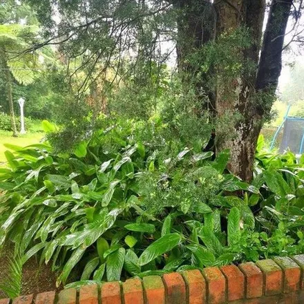 Image 4 - Gum Tree Flats, Chase Valley, Pietermaritzburg, South Africa - Apartment for rent