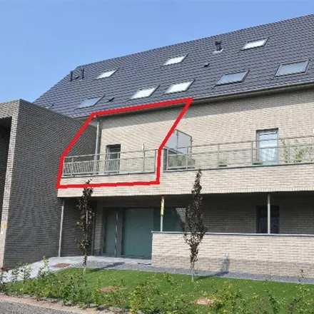 Image 9 - Rondstraat 34, 3640 Kinrooi, Belgium - Apartment for rent