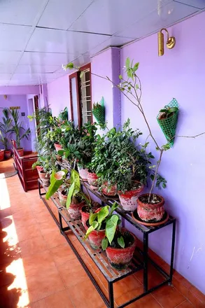 Image 5 - Kochi, Amaravathy, KERALA, IN - House for rent
