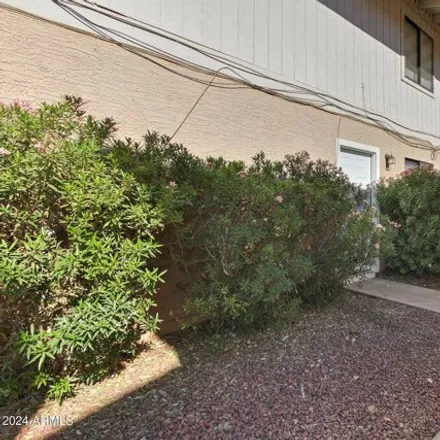 Image 2 - 55 North San Jose, Mesa, AZ 85201, USA - Apartment for rent