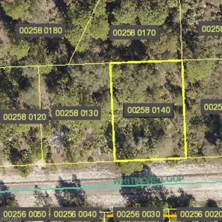 Image 1 - Whitmore Loop, Lehigh Acres, FL 33920, USA - House for sale
