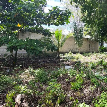Image 2 - Calle 3, 77930 Bacalar, ROO, Mexico - House for sale