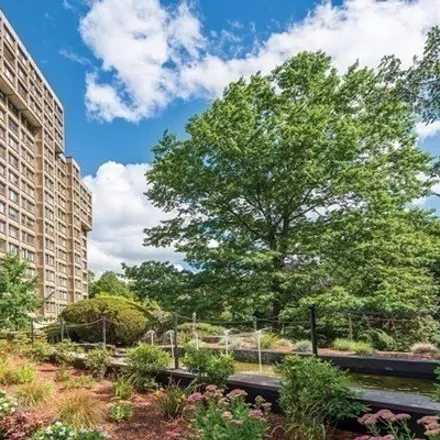 Rent this 1 bed condo on 250 Hammond Pond Parkway in Newton, MA 02167