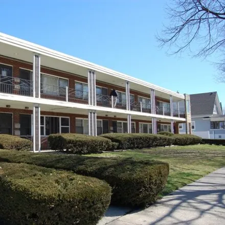 Rent this 1 bed condo on 1176 Augusta Street in Oak Park, IL 60302
