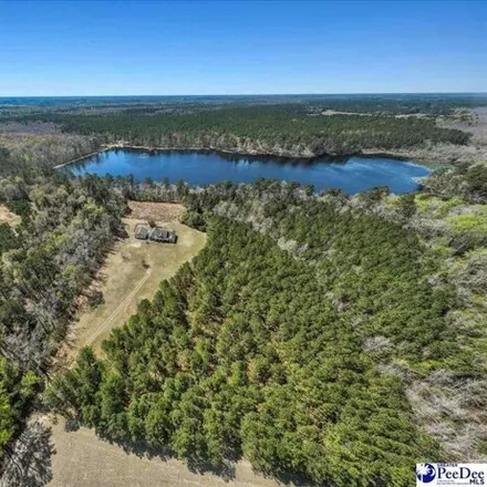 Image 3 - Joann Branch Road, Dillon County, SC 29536, USA - House for sale