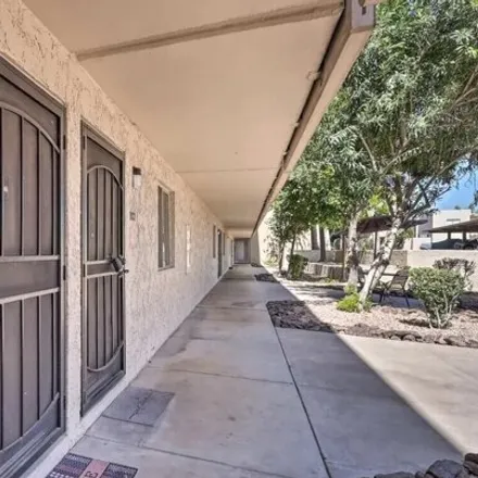 Rent this 1 bed apartment on 7625 East Camelback Road in Scottsdale, AZ 85251