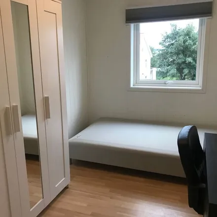 Rent this 1 bed apartment on Midten in Jotunvegen 2A, 7033 Trondheim