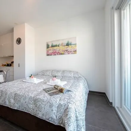 Image 6 - Via al Chioso, 6962 Lugano, Switzerland - Apartment for rent