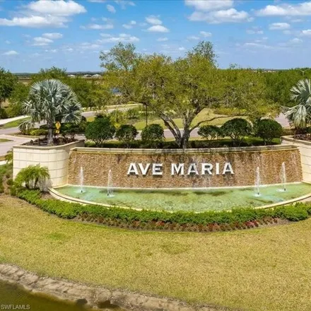 Image 3 - National Boulevard, Ave Maria, Collier County, FL, USA - Condo for rent