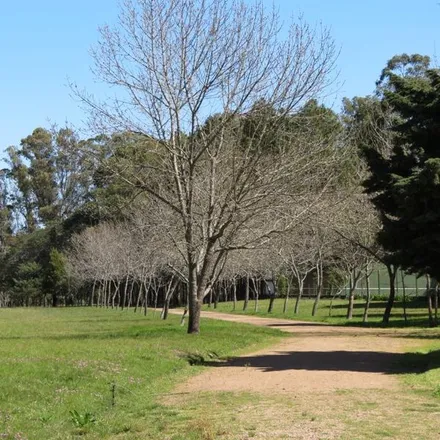 Image 8 - unnamed road, 20000 Barrio Los Aromos, Uruguay - Duplex for sale