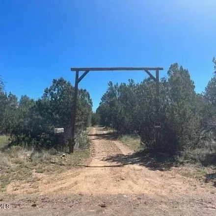 Image 1 - Bigler Road, Navajo County, AZ 85933, USA - House for sale