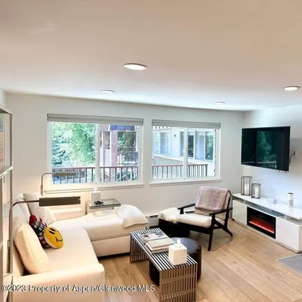 Image 5 - 454 East Waters Avenue, Aspen, CO 81611, USA - Condo for rent