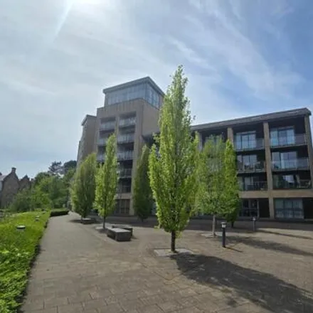 Rent this 1 bed room on Mill View House in Aalborg Place, Aldcliffe