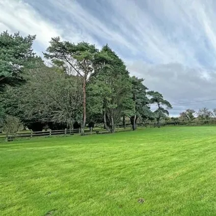 Image 7 - Primrose Farm, Ruby Farm, A390, Greenbottom, TR4 8HU, United Kingdom - House for sale