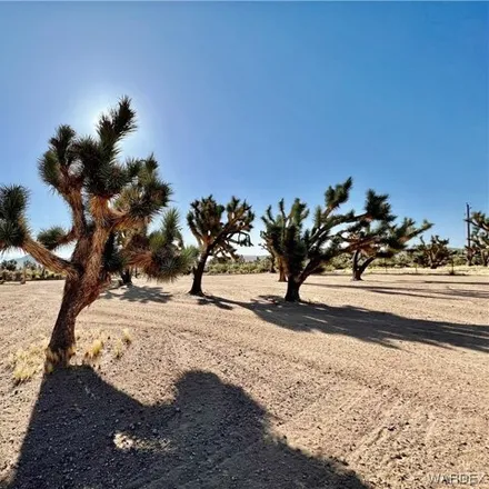 Image 8 - 18805 Spur Drive, Dolan Springs, Mohave County, AZ 86441, USA - House for sale