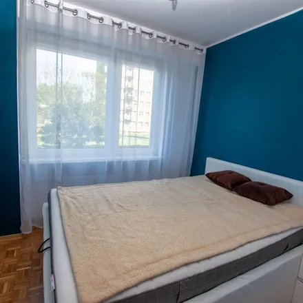Image 4 - Pawła Kałamarskiego 3, 87-100 Toruń, Poland - Apartment for rent