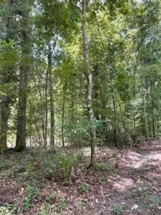 Image 7 - 600 Cannonville Road, Abbeville, Wilcox County, GA 31001, USA - House for sale