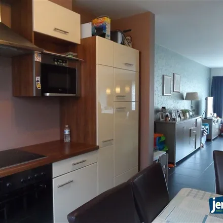 Rent this 3 bed apartment on Herdersstraat 1 in 3630 Maasmechelen, Belgium