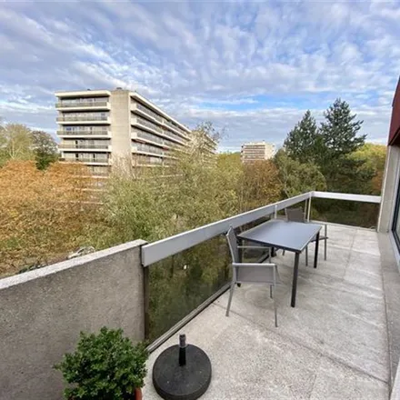 Image 5 - Avenue du Martin-Pêcheur - IJsvogellaan 13, 1170 Watermael-Boitsfort - Watermaal-Bosvoorde, Belgium - Apartment for rent
