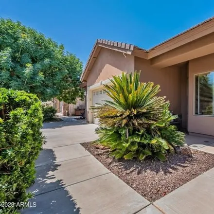 Image 4 - 20316 East Appaloosa Drive, Queen Creek, AZ 85142, USA - House for sale