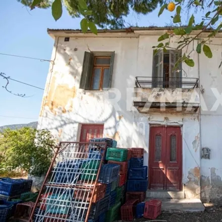 Image 5 - Ορφανού Νο5->/ΠΛΑΤΑΝΙΔΙΑ, Βόλου - Νεοχωρίου, Volos Municipality, Greece - House for sale