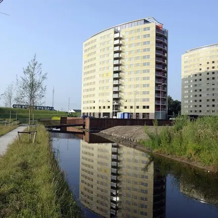 Rent this 4 bed apartment on Zilverreiger in Backershagen 330-482, 3078 SB Rotterdam