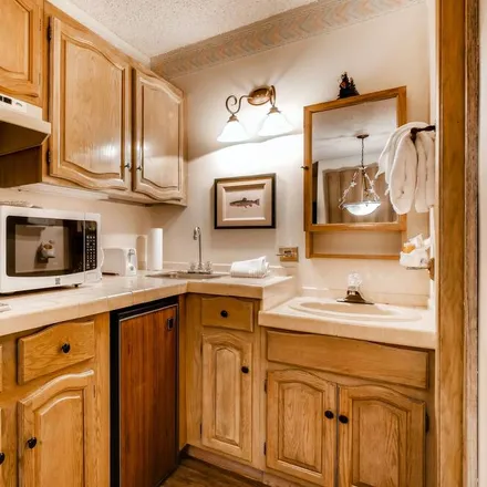 Image 2 - Steamboat Springs, CO - Apartment for rent