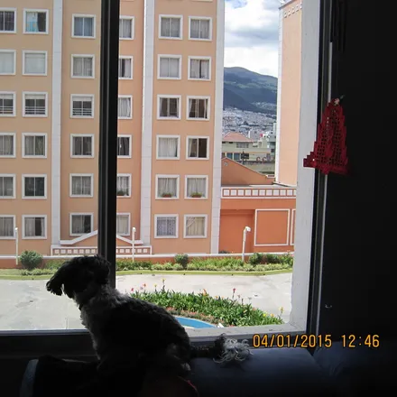 Image 7 - Quito, Los Laureles, P, EC - Apartment for rent