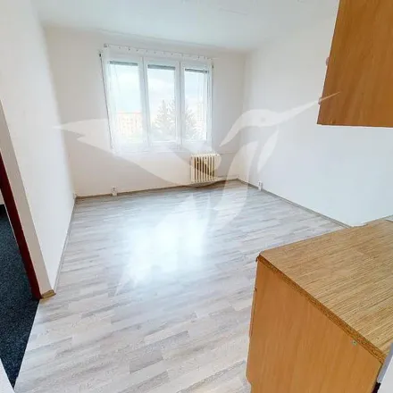 Image 7 - Skupova 2519/13, 301 00 Pilsen, Czechia - Apartment for rent