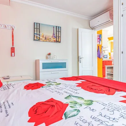 Rent this 1 bed apartment on Antigua in Las Palmas, Spain