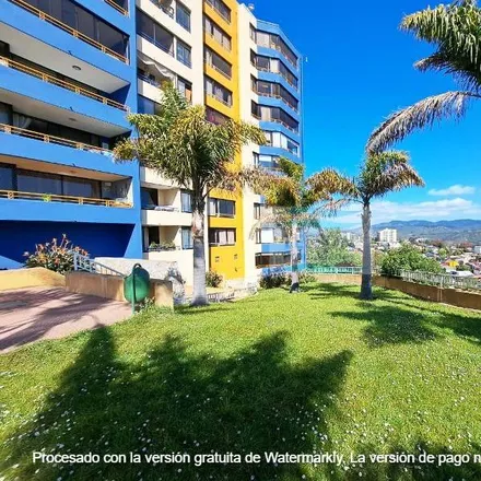 Image 9 - Pinocho, Del Palto, 252 0000 Viña del Mar, Chile - Apartment for sale