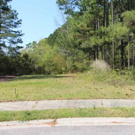 Image 1 - Avocet @ Wild Wing Plantation, Mill Hill Road, Horry County, SC, USA - House for sale