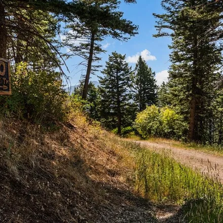 Image 3 - 1700 Mountain Goat Trail, Gallatin County, MT 59715, USA - House for sale