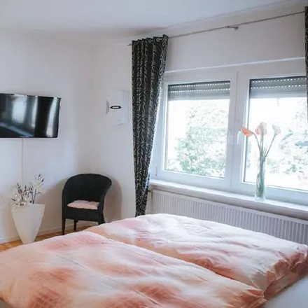 Image 6 - Leiwen, Rhineland-Palatinate, Germany - Apartment for rent