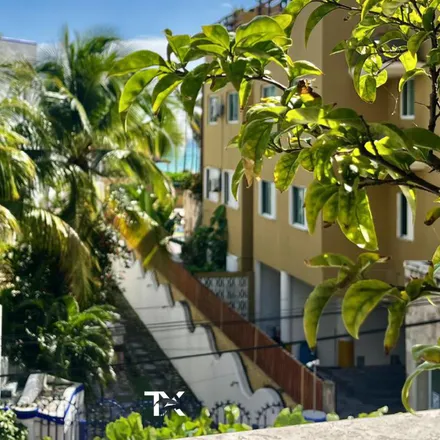 Image 5 - La Pumarola, Calle 40 Norte, Zazil Ha, 77710 Playa del Carmen, ROO, Mexico - Apartment for rent