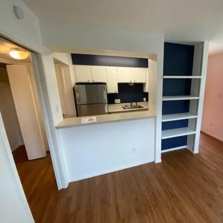 Rent this 1 bed apartment on 808 Winflo Drive in Austin, TX 78703