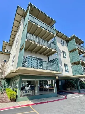 Image 1 - ChargePoint, North Delaware Street, San Mateo, CA 94401, USA - Apartment for rent