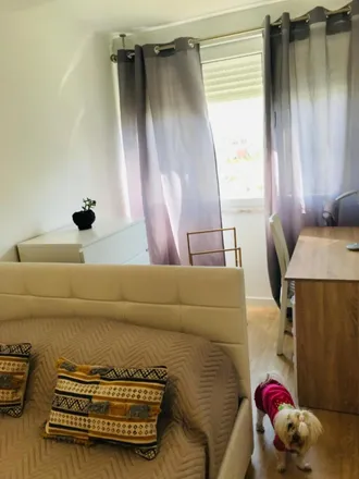 Rent this 2 bed apartment on Rua da Quinta do Charquinho in 1500-530 Lisbon, Portugal