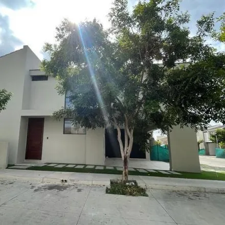 Image 1 - Calle San Antonio, San Benito, 80246 Culiacán, SIN, Mexico - House for rent