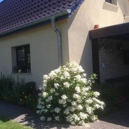 Image 5 - 17252 Mirow, Germany - House for rent