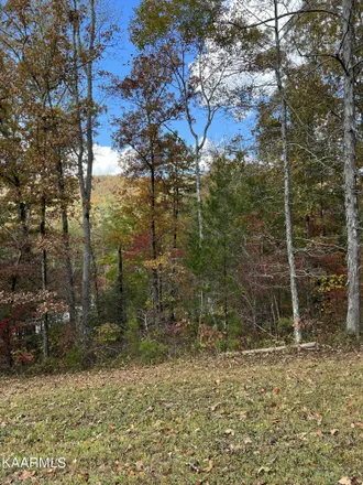 Image 2 - 1419 Reagan Valley Road, Monroe County, TN 37385, USA - House for sale